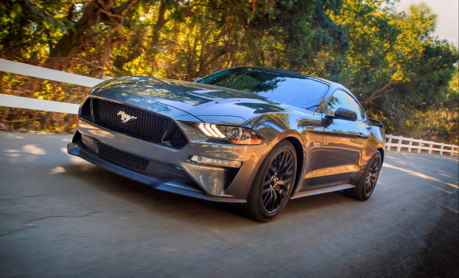 Mustang